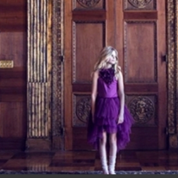 Tutu du monde TTMD TUTU dress purple ombre 8 9 10 - Picture 15 of 15